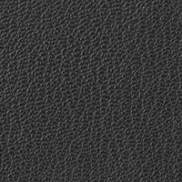 Billetera Organizer Zuri Negro